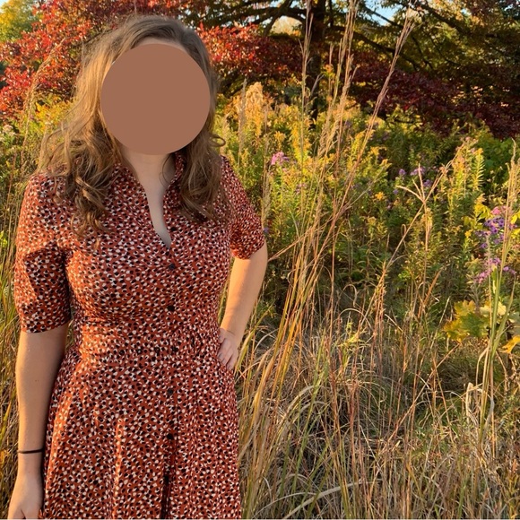 Button up dress from BB Dakota - Picture 5 of 5